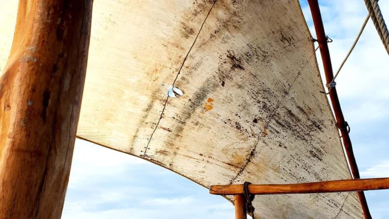 Zanzibar: Prison Island and Nakupenda Sandbank Tour - Final Thoughts