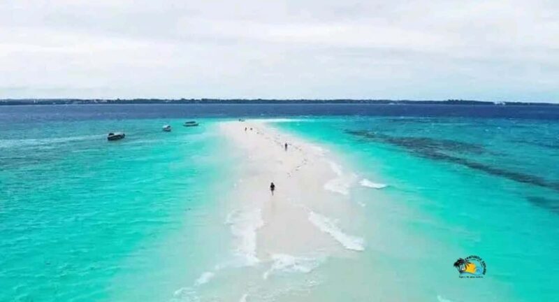 Zanzibar: Prison Island and Nakupenda Sandbank with Lunch - The Sum Up