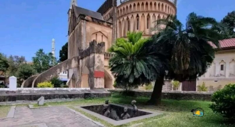 Zanzibar: Prison Island and Stone Town Tour Experience - Who Will Enjoy This Tour?
