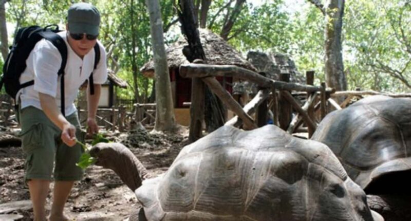 Zanzibar: Prison island and Stone town walking tour - Who Will Enjoy This Tour?