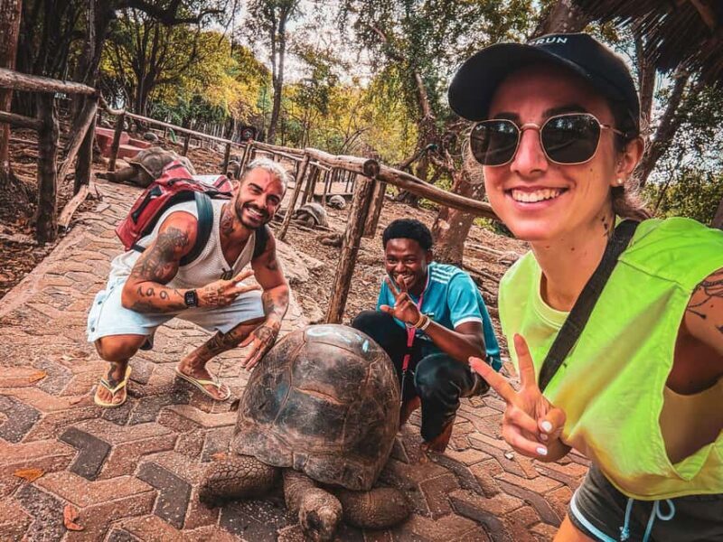 Zanzibar: Prison Island & Giant Tortoises with Pickup - Authentic Experiences and Real Insights
