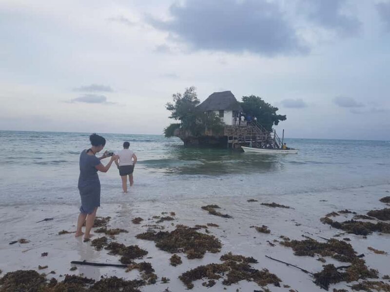 Zanzibar: Prison Island, Jozani Forest and Paje Beach Tour - Exploring Zanzibar’s Highlights