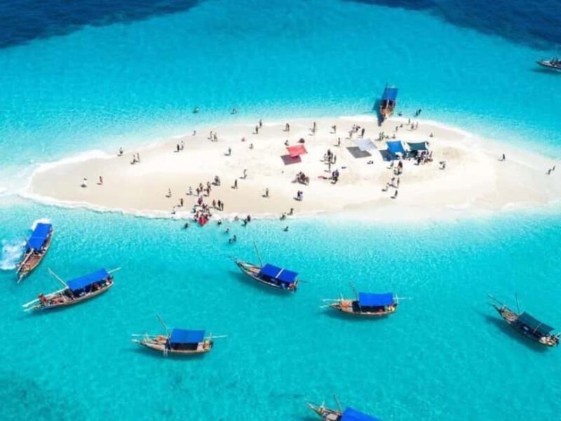Zanzibar: Prison Island & Nakupenda Sandbank tour - Who Will Love This Tour?