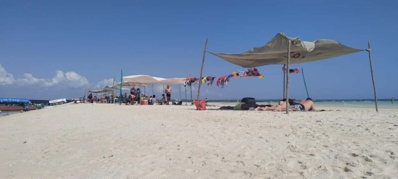 Zanzibar: Prison Island & Nakupenda Sandbank Tour with lunch - Key Points  