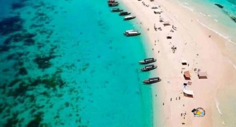 Zanzibar: Prison Island & Nakupenda Sandbank Tour with Lunch - The Overall Experience