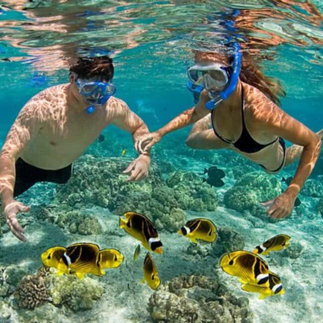 Zanzibar: Prison Island & Nakupenda Sandbank trip - Introduction to the Zanzibar Prison Island & Nakupenda Sandbank Tour