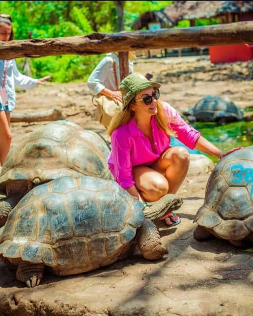 Zanzibar: Prison Island Private Half-Day Tour with Tortoises - What to Expect on the Tour