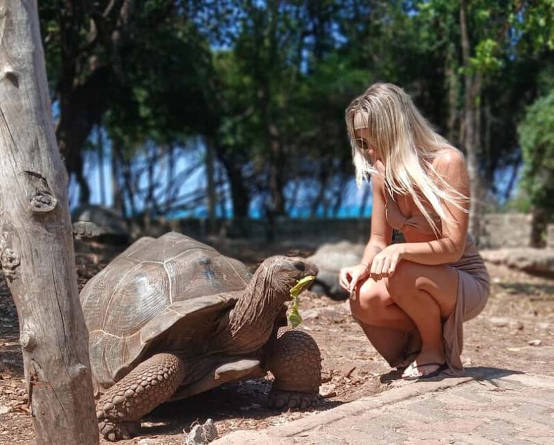 Zanzibar: Prison Island Private Half-Day Tour with Tortoises - Practicalities and Logistics