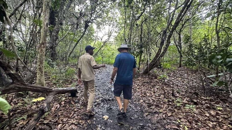 Zanzibar: Prison Island, Spice Farm Tour & Jozani with Lunch - An Overview of the Day