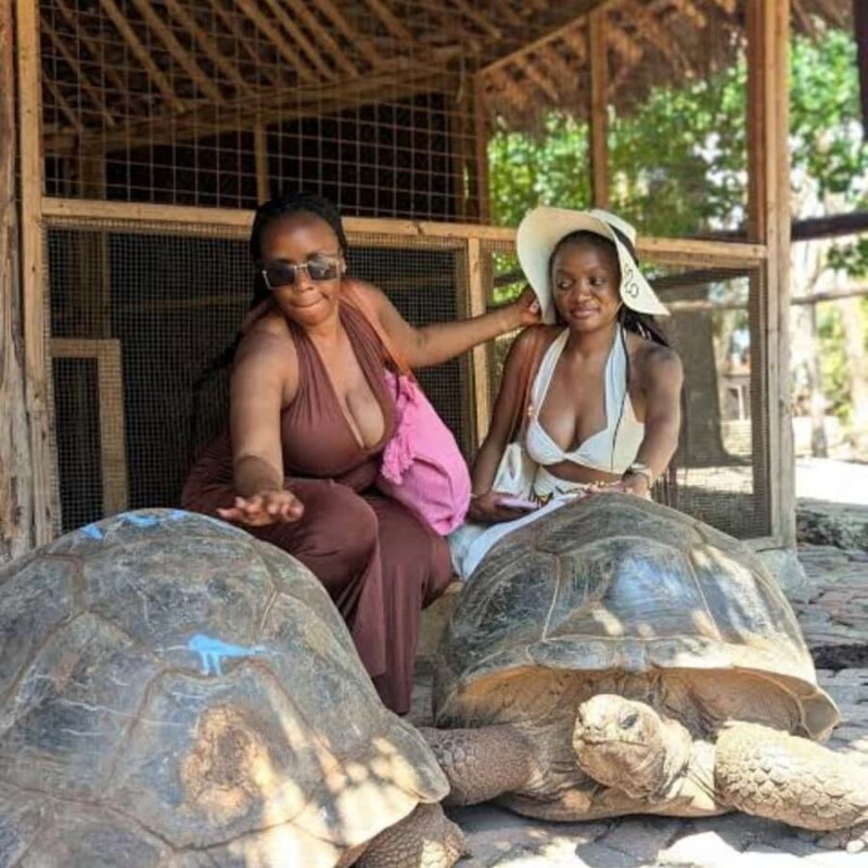 Zanzibar: Prison Island, Stone Town, & Spice Farm Tour - What to Expect from the Tour