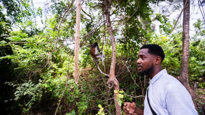 Zanzibar: Prison Island, Tortoise, Jozani Forest Guided Tour - An Overview of the Day