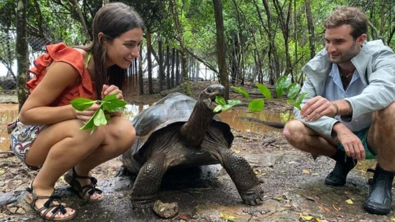 Zanzibar: Prison Island Tortoise Sanctuary & Jozani Forest - Exploring the Highlights of the Tour