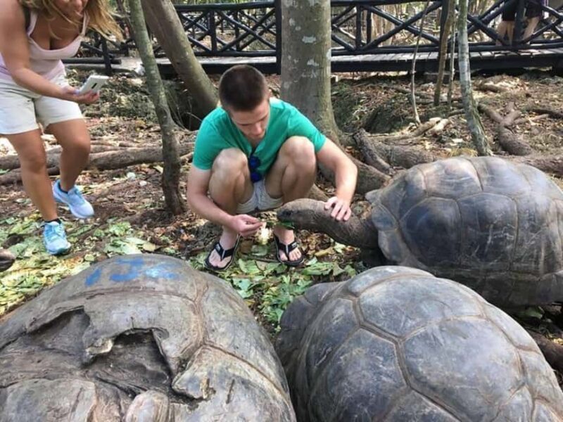 Zanzibar: Prison Island Tour with Giant Tortoises &Boat Ride - Key Points