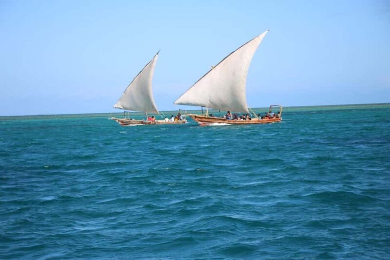 Zanzibar: Prison island- Turtoise & spice farm - Final Thoughts: Who Will Love This Tour
