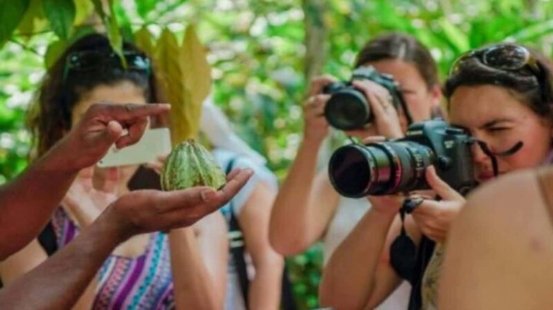 Zanzibar: Prison Island visit and Spice lesson tour - Discover the Charm of Zanzibar: Prison Island Visit and Spice Lesson Tour