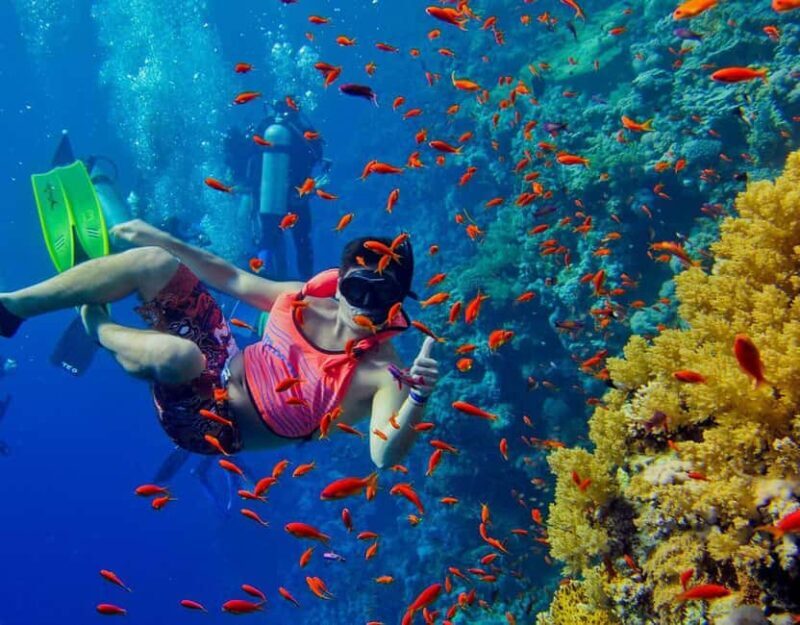Zanzibar: Private Full-day Safari Blue Trip with BBQ Lunch - A Closer Look at the Safari Blue Experience  