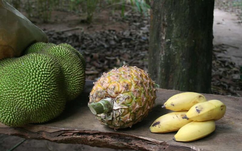 Zanzibar: Private Half-Day Tropical Fruits and Spices Tour - Why This Tour Is a Great Choice