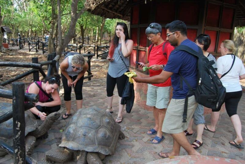 Zanzibar: Private Prison Island Tour with hotel transfer - Final Thoughts