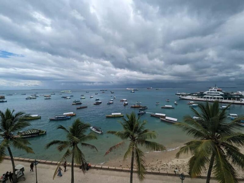 Zanzibar: Private Spice tour & Prison Island & Stone town - Who Will Love This Tour?