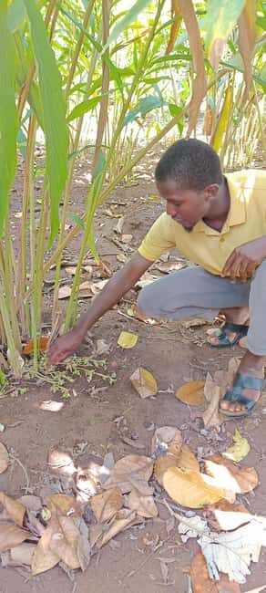 Zanzibar: Private SpiceFarm, PrisonIsland And StoneTown Tour - Final Thoughts