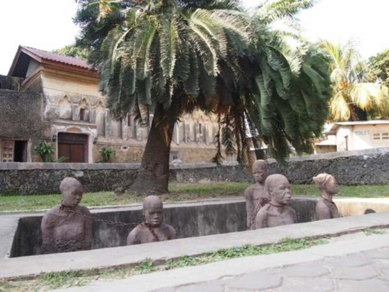 Zanzibar: Private Stone Town, Prison Island & SpiceFarm Tour - The Experience from Travelers’ Perspectives