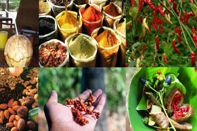Zanzibar: Private Stone Town, Prison Island & SpiceFarm Tour - FAQ