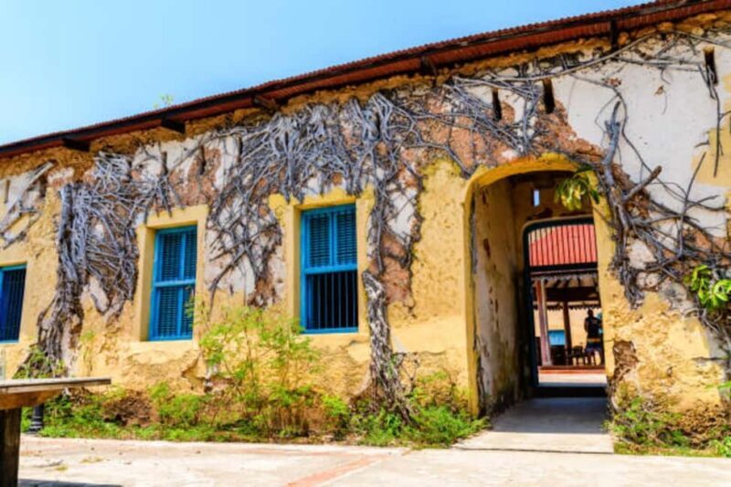 Zanzibar: Private Stone Town & Prison Island Tour - An In-Depth Look at the Tour