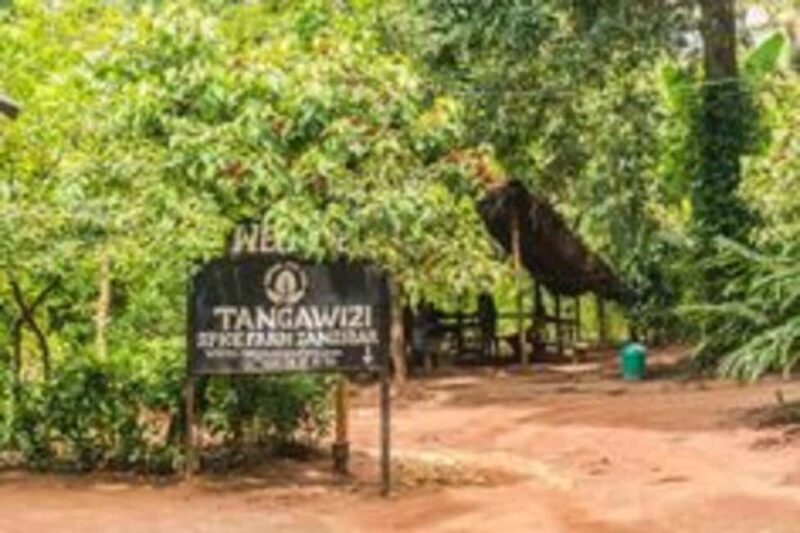 Zanzibar: Private Tour with Prison Island and Spice Farm - Exploring Zanzibar’s Historical Side
