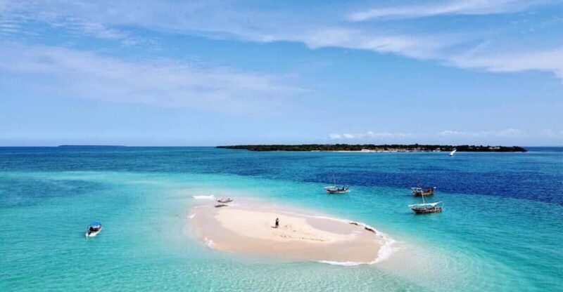 Zanzibar: Pungume Island Dolphin and Snorkeling Tour - What to Expect from the Pungume Island Dolphin and Snorkeling Tour