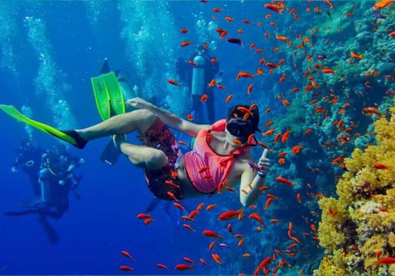 Zanzibar: Pungume Island Dolphin and Snorkeling Tour - The Itinerary Breakdown