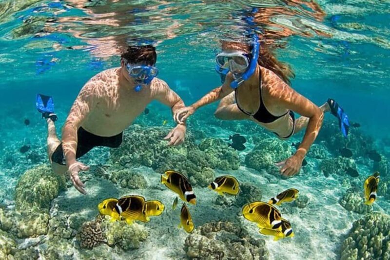 Zanzibar: Pungume Island Dolphin and Snorkeling Tour - FAQ