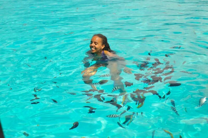 Zanzibar: Pungume island-dolphin watching - BBQ Lunch - The Itinerary Breakdown: What You Can Expect