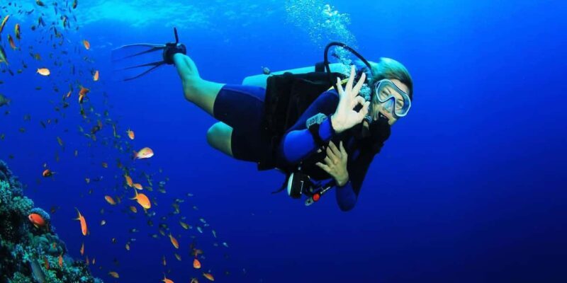 Zanzibar: Pungume island-dolphin watching - BBQ Lunch - The Practicalities: What You Need to Know