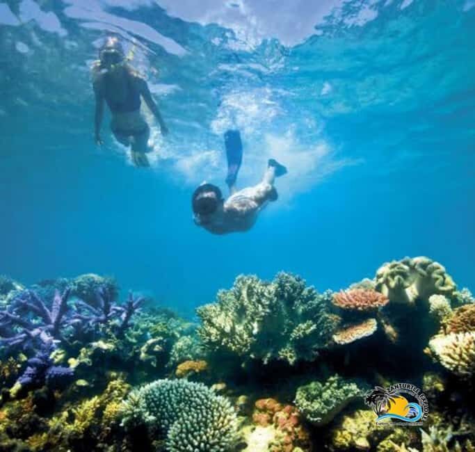 Zanzibar: Pungume Island Snorkeling & Dolphins Trip - Practical Tips for the Trip