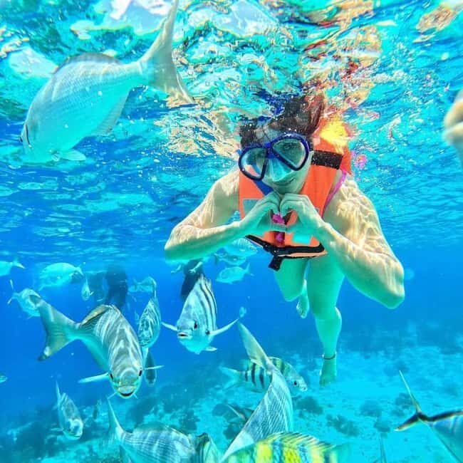 ZANZIBAR: Pungume Island Snorkeling & Sandbank+BBQ - The Sum Up