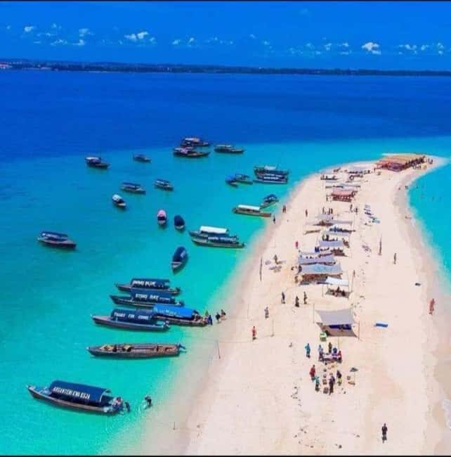 Zanzibar: Pungume Private Safari Blue Picnic - Key Points