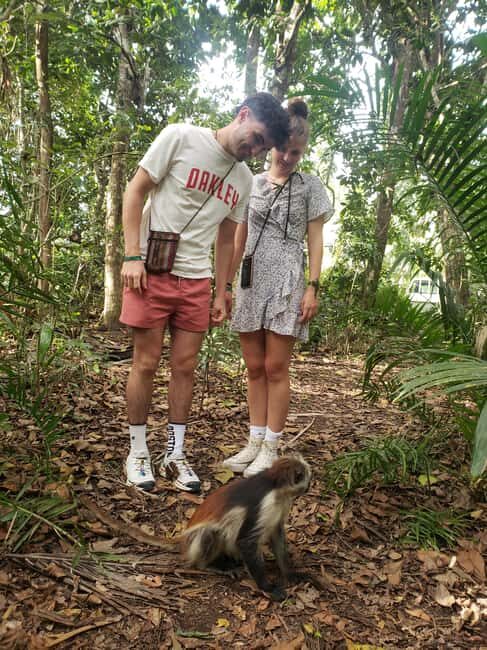 Zanzibar: Red Colobus Monkeys in Jozani Forest Guided Tour - Why This Tour Is a Great Choice