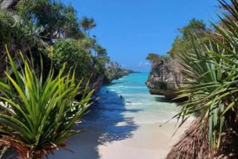 Zanzibar: Red Columbus monkey, Salam Cave and Mtende beach - Practical Details: The Bottom Line