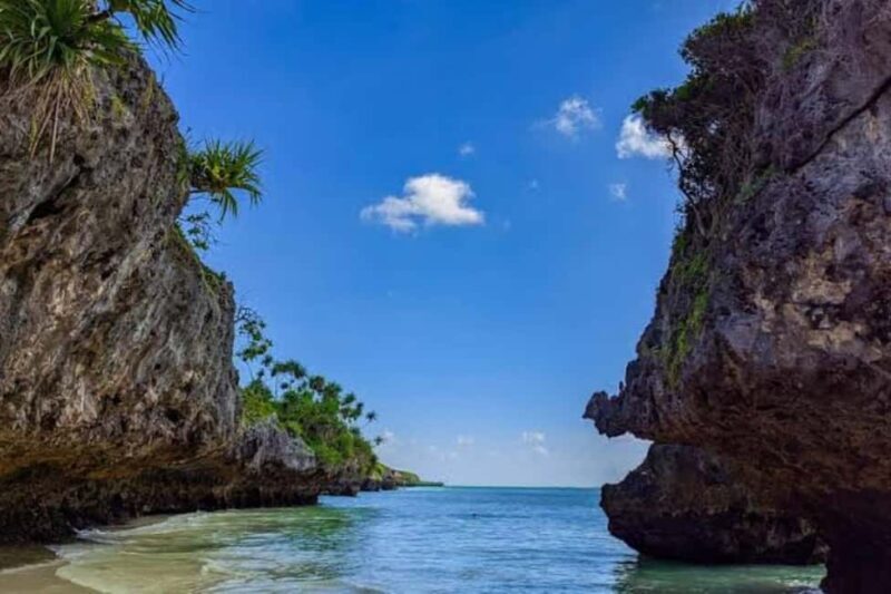 Zanzibar: Red Columbus monkey, Salam Cave and Mtende beach - Who Would Love This Tour?