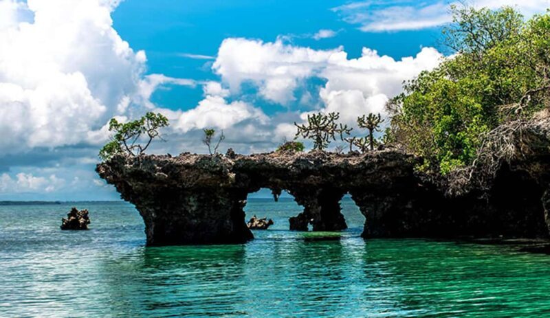 Zanzibar: Safari Blue Adventure Day Trip - A Complete Dive into the Safari Blue Experience