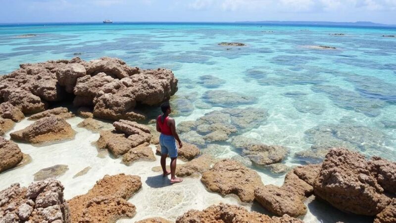 Zanzibar: Safari Blue Full-Day Tour with Lunch and transfer - Key Points