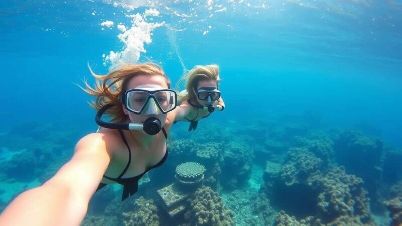 Zanzibar: Safari Blue Full-Day Tour with Lunch and transfer - FAQ