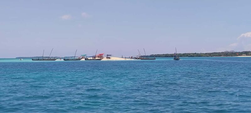 Zanzibar: Safari Blue Full-Day Tour with Seafood BBQ - Why This Tour Is Worth Considering  