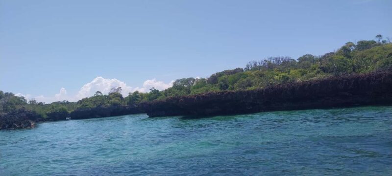 Zanzibar: Safari Blue Full-Day Tour with Seafood BBQ - FAQs  