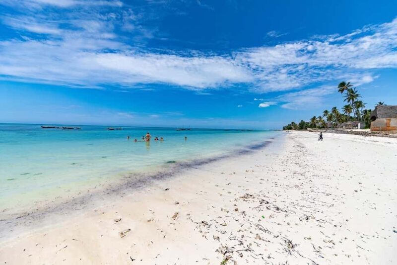 Zanzibar - Safari Blue private trip (full day) paradise - An In-Depth Look at the Safari Blue Private Trip