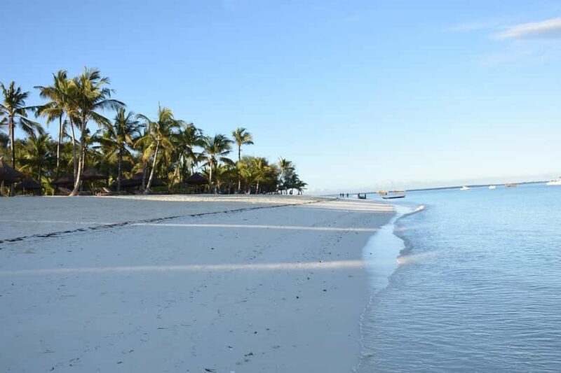 Zanzibar - Safari Blue private trip (Menai bay paradise) - What Sets This Tour Apart?