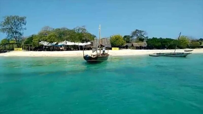 Zanzibar: Safari Blue Sea Trip Full Day Snorkeling & Lunch - FAQ