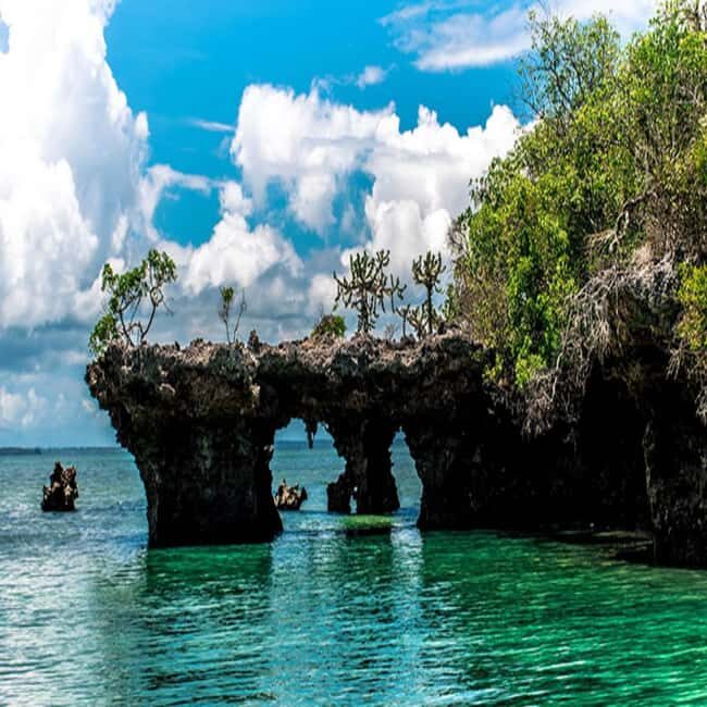 ZANZIBAR: Safari Blue snorkeling adventure with BBQ - The Sum Up