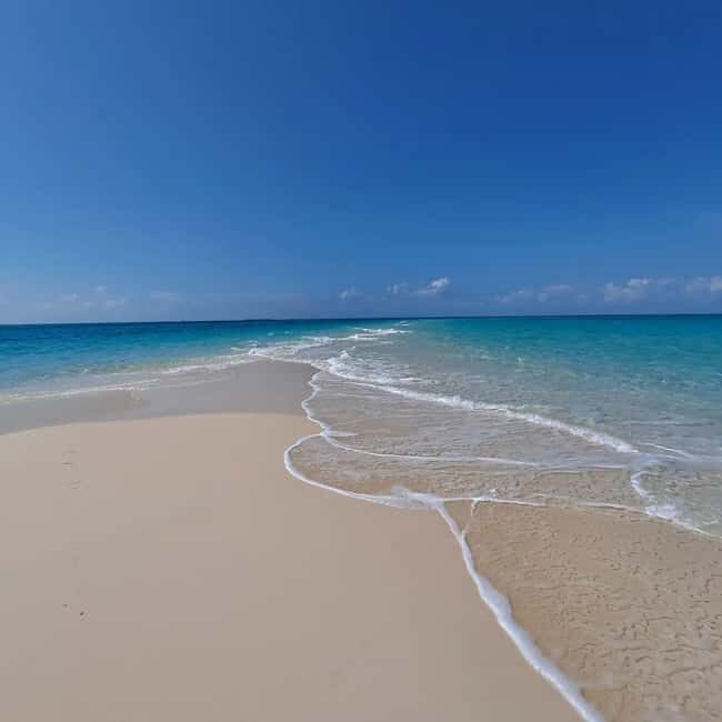 Zanzibar: safari blue snorkeling and sandbank - An In-Depth Look at the Safari Blue Experience
