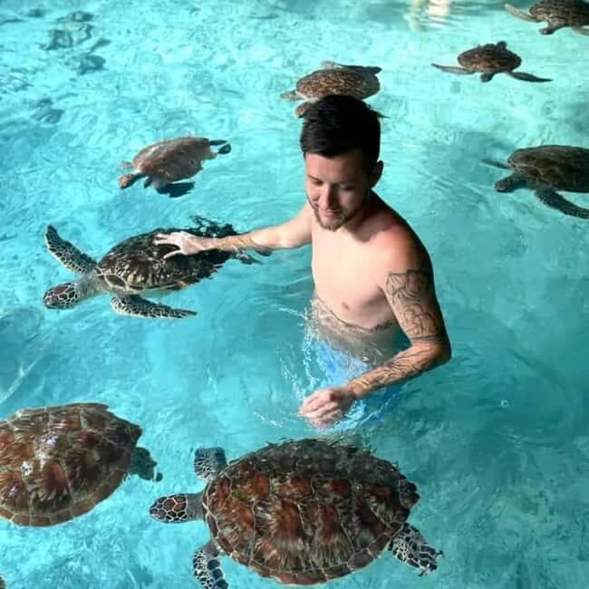 ZANZIBAR: Salaam Cave Swimming with Sea Turtles at Kizimkazi - Key Points
